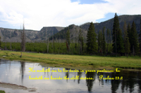 Still Waters